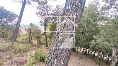 Inmueble en , Barcelona