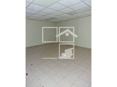 Local en Olot Girona