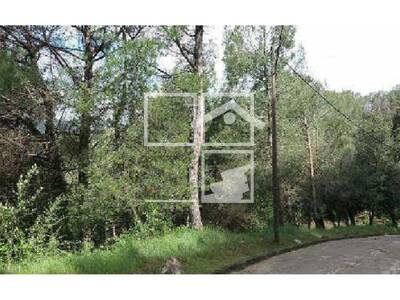 Local en Dels pins, Aiguafreda Barcelona