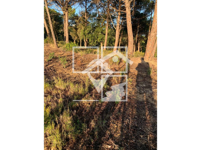 Local en Calle Tarragona    , Fogars de la Selva Barcelona