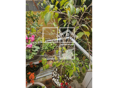 Inmueble en , Tarragona Inmueble en , Tarragona