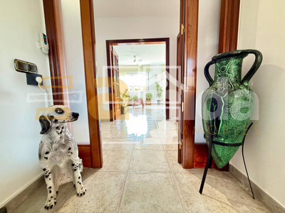 Local en Riells i Viabrea Girona