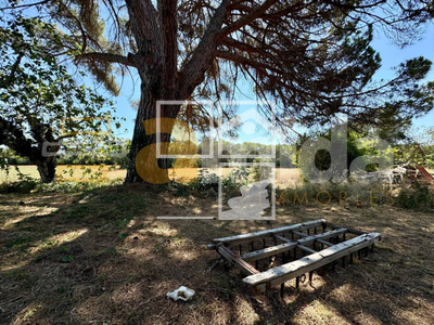 Local en Llagostera Girona