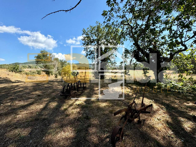 Local en Llagostera Girona