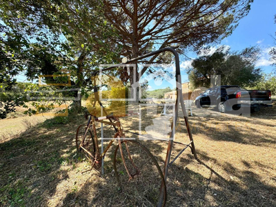 Local en Llagostera Girona