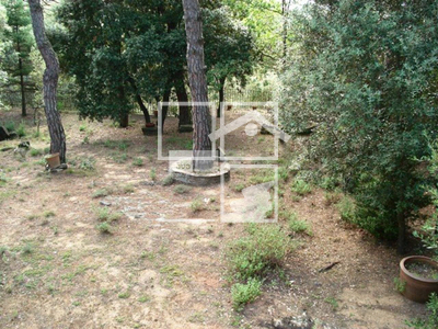 Local en Taradell Barcelona