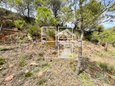 Local en Sabadell, Vacarisses Barcelona