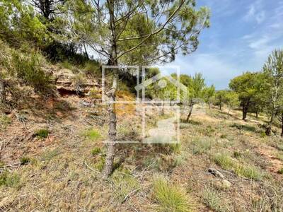 Local en Sabadell, Vacarisses Barcelona