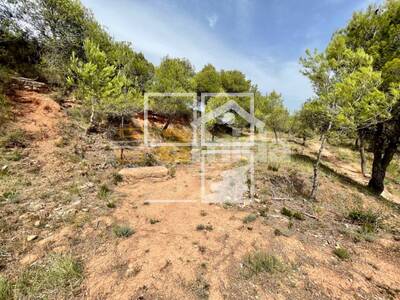 Local en Sabadell, Vacarisses Barcelona