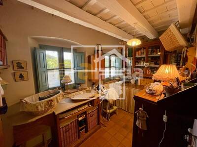 Local en Riera del Vilar, Monells i Sant Sadurní de l'Heura Girona