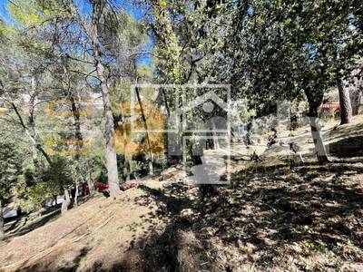 Local en Castellar del Vallès Barcelona