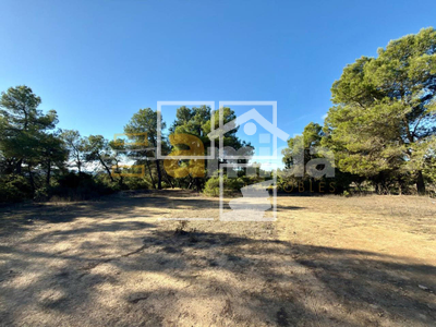 Local en Vinaixa Lleida Local en Vinaixa Lleida