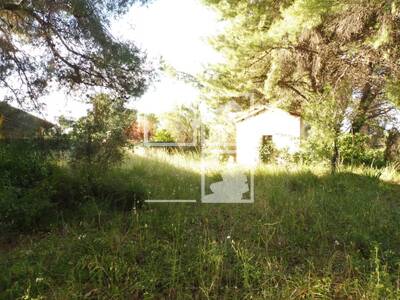 Local en Sant Quirze del Vallès Barcelona