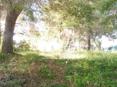 Local en Sant Quirze del Vallès Barcelona