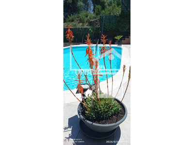 Local en Avenida Can Valls    , Masquefa Barcelona