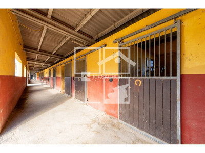 Local en Terrassa Barcelona