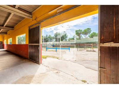 Local en Terrassa Barcelona