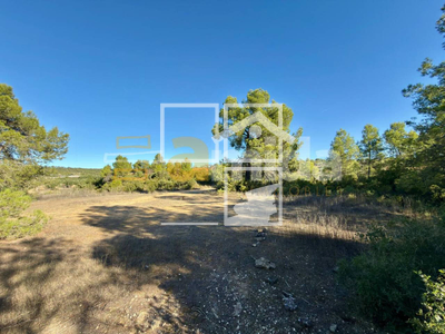 Local en Vinaixa Lleida