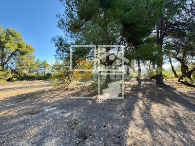 Local en Vinaixa Lleida