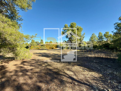 Local en Vinaixa Lleida